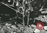 Image la culture de soja la Mandchourie Chine, 1928, de la seconde 29 séquences d'archives historiques vidéo 65675066279