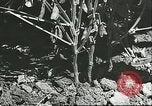 Image la culture de soja la Mandchourie Chine, 1928, de la seconde 30 séquences d'archives historiques vidéo 65675066279