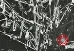 Image la culture de soja la Mandchourie Chine, 1928, de la seconde 35 séquences d'archives historiques vidéo 65675066279