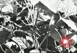 Image la culture de soja la Mandchourie Chine, 1928, de la seconde 46 séquences d'archives historiques vidéo 65675066279