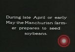 Image of soybean cultivation Harbin Manchukuo Manchuria China, 1928, second 4 stock footage video 65675066281