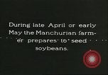 Image of soybean cultivation Harbin Manchukuo Manchuria China, 1928, second 5 stock footage video 65675066281