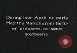 Image of soybean cultivation Harbin Manchukuo Manchuria China, 1928, second 7 stock footage video 65675066281