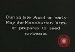 Image of soybean cultivation Harbin Manchukuo Manchuria China, 1928, second 8 stock footage video 65675066281