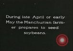 Image of soybean cultivation Harbin Manchukuo Manchuria China, 1928, second 9 stock footage video 65675066281