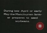 Image of soybean cultivation Harbin Manchukuo Manchuria China, 1928, second 10 stock footage video 65675066281