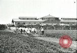 Image of soybean cultivation Harbin Manchukuo Manchuria China, 1928, second 12 stock footage video 65675066281
