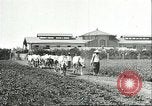 Image of soybean cultivation Harbin Manchukuo Manchuria China, 1928, second 14 stock footage video 65675066281