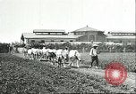 Image of soybean cultivation Harbin Manchukuo Manchuria China, 1928, second 15 stock footage video 65675066281