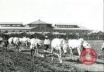 Image of soybean cultivation Harbin Manchukuo Manchuria China, 1928, second 22 stock footage video 65675066281