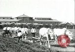 Image of soybean cultivation Harbin Manchukuo Manchuria China, 1928, second 23 stock footage video 65675066281