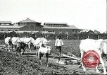 Image of soybean cultivation Harbin Manchukuo Manchuria China, 1928, second 25 stock footage video 65675066281