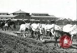 Image of soybean cultivation Harbin Manchukuo Manchuria China, 1928, second 30 stock footage video 65675066281