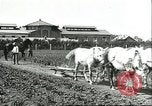 Image of soybean cultivation Harbin Manchukuo Manchuria China, 1928, second 33 stock footage video 65675066281