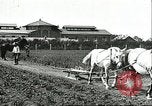 Image of soybean cultivation Harbin Manchukuo Manchuria China, 1928, second 34 stock footage video 65675066281