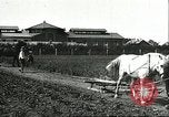 Image of soybean cultivation Harbin Manchukuo Manchuria China, 1928, second 35 stock footage video 65675066281
