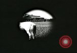 Image of soybean cultivation Harbin Manchukuo Manchuria China, 1928, second 46 stock footage video 65675066281