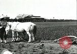 Image of soybean cultivation Harbin Manchukuo Manchuria China, 1928, second 47 stock footage video 65675066281