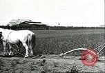 Image of soybean cultivation Harbin Manchukuo Manchuria China, 1928, second 52 stock footage video 65675066281