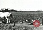 Image of soybean cultivation Harbin Manchukuo Manchuria China, 1928, second 53 stock footage video 65675066281
