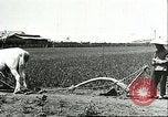 Image of soybean cultivation Harbin Manchukuo Manchuria China, 1928, second 54 stock footage video 65675066281