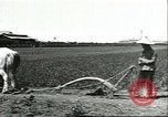 Image of soybean cultivation Harbin Manchukuo Manchuria China, 1928, second 55 stock footage video 65675066281