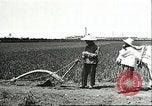 Image of soybean cultivation Harbin Manchukuo Manchuria China, 1928, second 58 stock footage video 65675066281