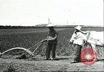 Image of soybean cultivation Harbin Manchukuo Manchuria China, 1928, second 59 stock footage video 65675066281