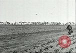 Image of soybean cultivation Harbin Manchukuo Manchuria China, 1928, second 11 stock footage video 65675066282