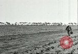 Image of soybean cultivation Harbin Manchukuo Manchuria China, 1928, second 12 stock footage video 65675066282