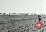 Image of soybean cultivation Harbin Manchukuo Manchuria China, 1928, second 13 stock footage video 65675066282