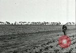 Image of soybean cultivation Harbin Manchukuo Manchuria China, 1928, second 14 stock footage video 65675066282