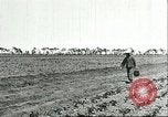 Image of soybean cultivation Harbin Manchukuo Manchuria China, 1928, second 16 stock footage video 65675066282