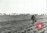 Image of soybean cultivation Harbin Manchukuo Manchuria China, 1928, second 17 stock footage video 65675066282