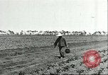 Image of soybean cultivation Harbin Manchukuo Manchuria China, 1928, second 19 stock footage video 65675066282