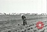 Image of soybean cultivation Harbin Manchukuo Manchuria China, 1928, second 20 stock footage video 65675066282