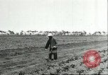 Image of soybean cultivation Harbin Manchukuo Manchuria China, 1928, second 21 stock footage video 65675066282