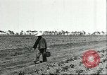 Image of soybean cultivation Harbin Manchukuo Manchuria China, 1928, second 22 stock footage video 65675066282