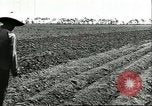 Image of soybean cultivation Harbin Manchukuo Manchuria China, 1928, second 33 stock footage video 65675066282
