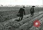 Image of soybean cultivation Harbin Manchukuo Manchuria China, 1928, second 40 stock footage video 65675066282
