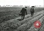 Image of soybean cultivation Harbin Manchukuo Manchuria China, 1928, second 41 stock footage video 65675066282