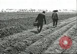 Image of soybean cultivation Harbin Manchukuo Manchuria China, 1928, second 42 stock footage video 65675066282