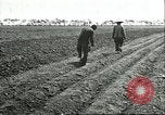 Image of soybean cultivation Harbin Manchukuo Manchuria China, 1928, second 44 stock footage video 65675066282