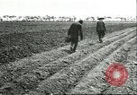 Image of soybean cultivation Harbin Manchukuo Manchuria China, 1928, second 45 stock footage video 65675066282
