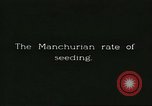 Image of soybean cultivation Harbin Manchukuo Manchuria China, 1928, second 49 stock footage video 65675066282
