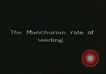 Image of soybean cultivation Harbin Manchukuo Manchuria China, 1928, second 52 stock footage video 65675066282