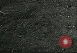 Image of soybean cultivation Harbin Manchukuo Manchuria China, 1928, second 53 stock footage video 65675066282