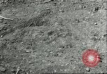 Image of soybean cultivation Harbin Manchukuo Manchuria China, 1928, second 54 stock footage video 65675066282