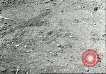 Image of soybean cultivation Harbin Manchukuo Manchuria China, 1928, second 56 stock footage video 65675066282