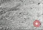 Image of soybean cultivation Harbin Manchukuo Manchuria China, 1928, second 57 stock footage video 65675066282